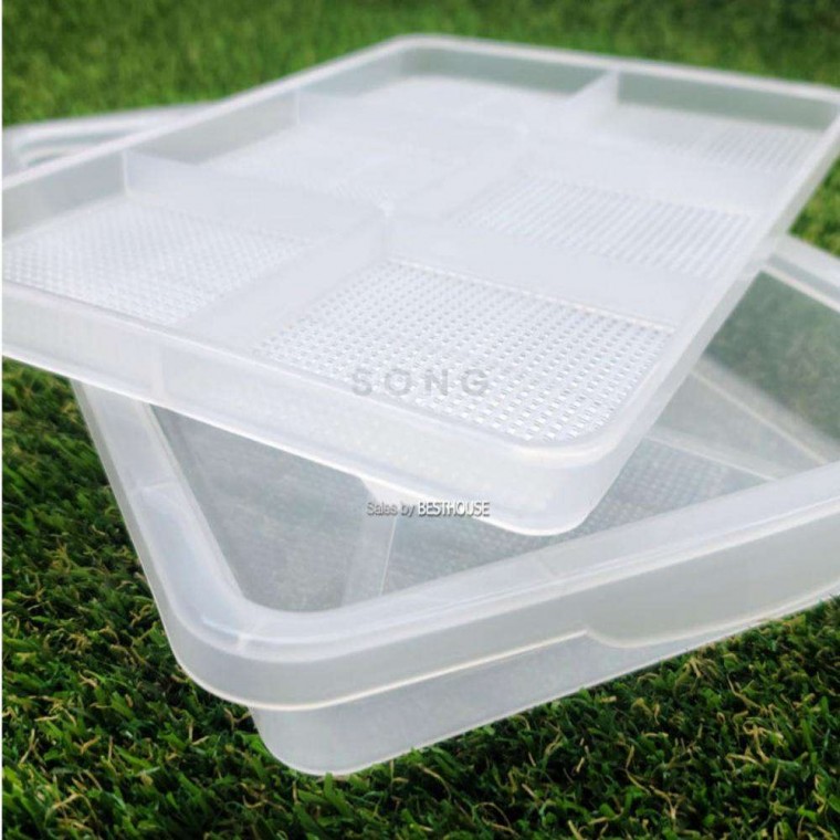 새싹 트레이 셋트 32x22cm 수경재배 싹틔우기 모종트레이 새싹키우기 새싹보리 14,520원