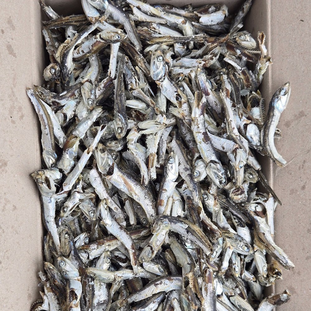 [바다찬미] 산지직송 국내산 햇 다시멸치(최상급) 육수용멸치 통영 여수 남해안 21,800원