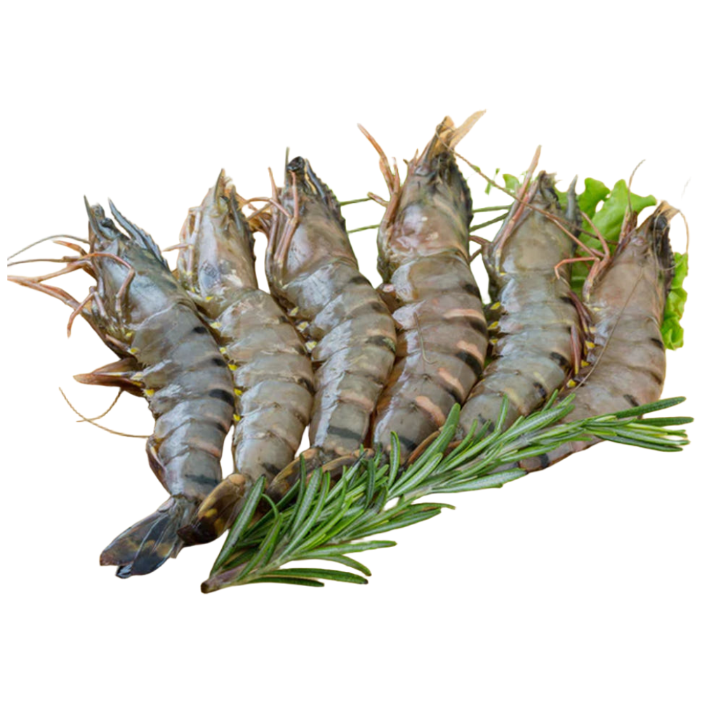 블랙타이거새우 대용량, 1개, 5kg (500g당 25미) 소 97,000원