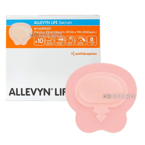 S&N 알레빈 ALLEVYN Life 세이크럼 Large 23cmX21.6cm 1팩 10개입 01176 206,160원