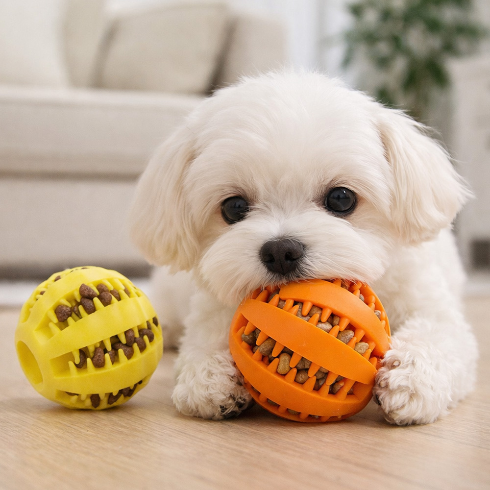 앙플러스 강아지 간식볼 스낵볼 노즈워크 공 5,800원