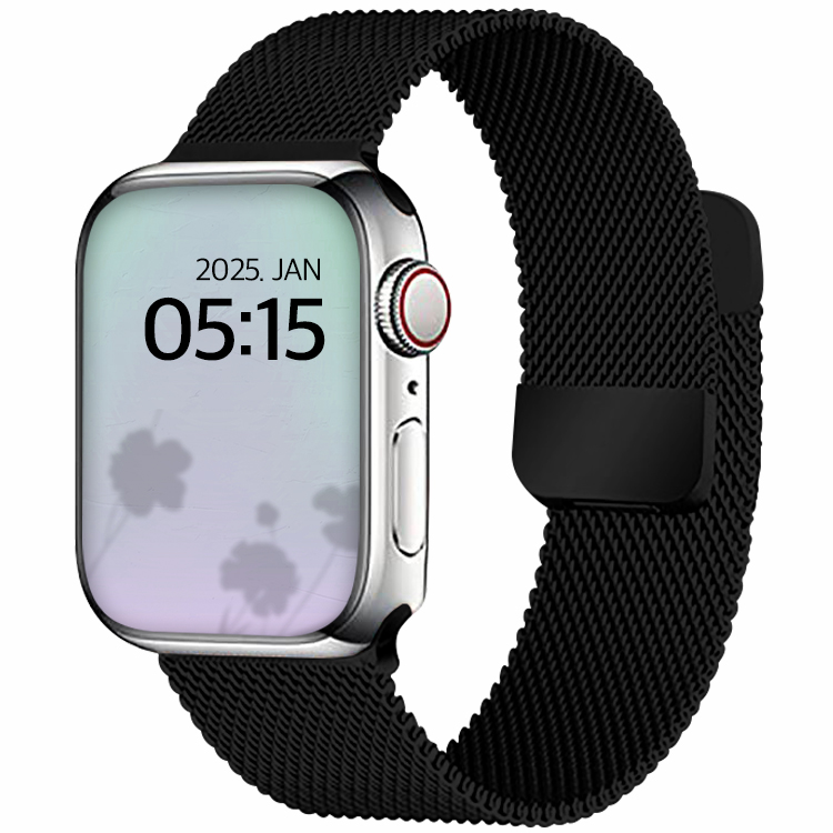 디지지 애플워치 호환 밀레니즈 마그네틱 스트랩, 블랙, 1개 7,520원