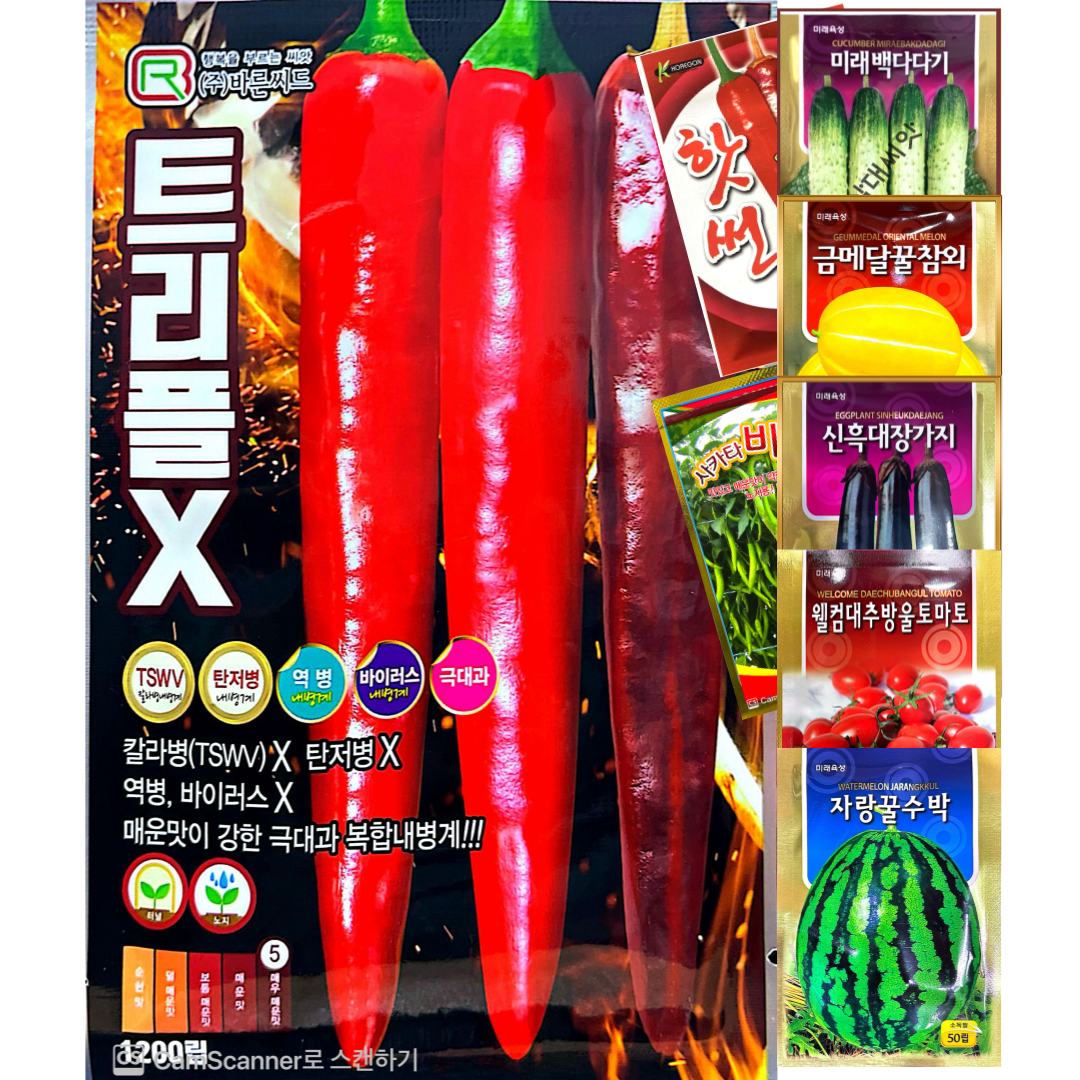 매운맛 복합내병계 고추씨앗 1200립 트리플엑스 바른시드 150,000원