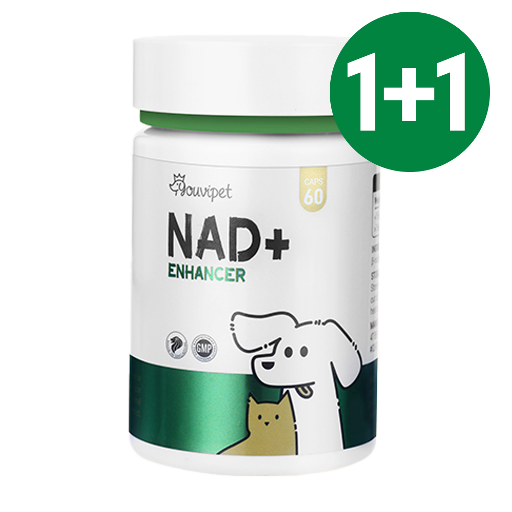 유비펫 프리미엄 NMN 강아지 항산화 영양제 노령견 심장 신장 관절 기관지 1+1, 1개, 면역/항산화, 60정 49,900원