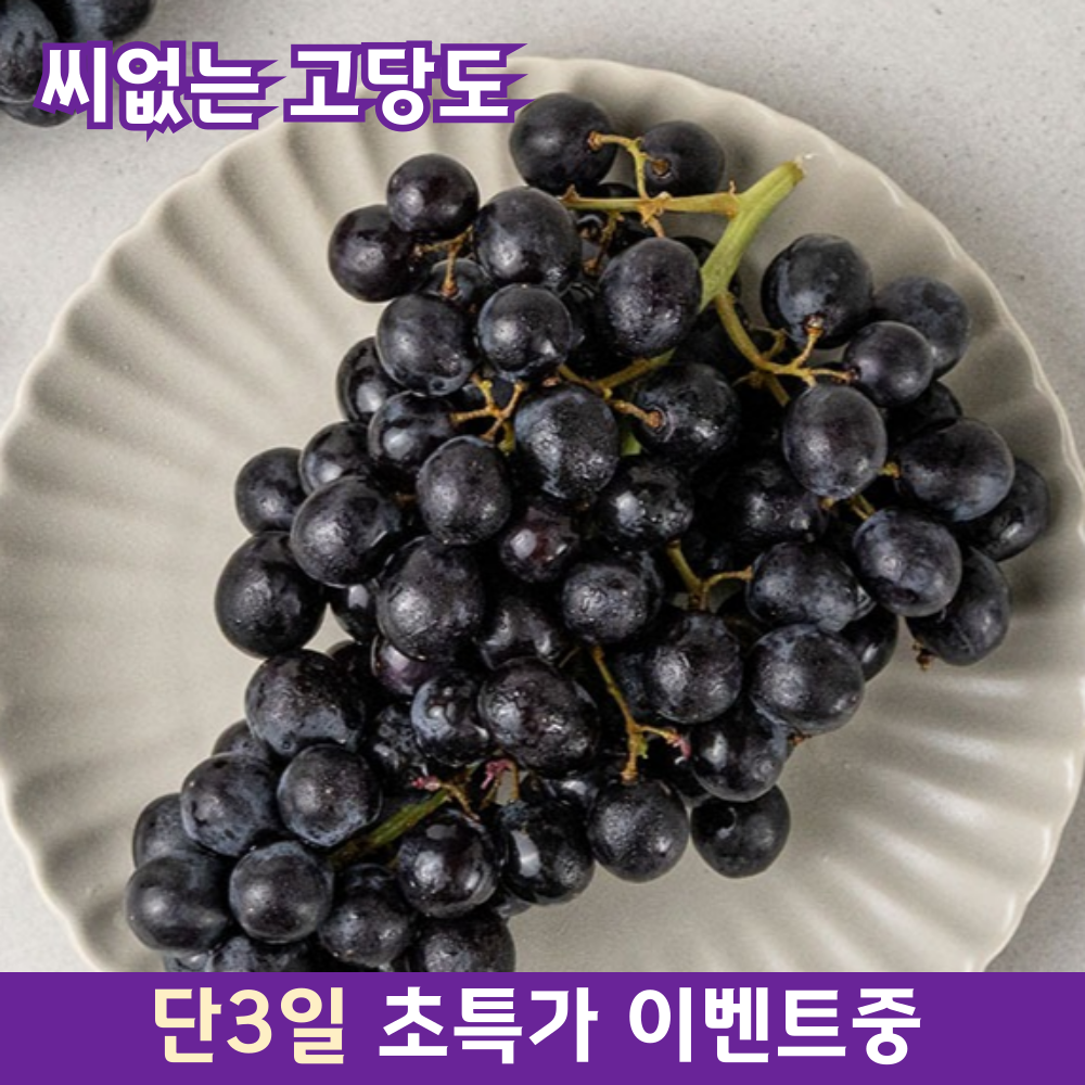[고당도] 블랙세이블 포도 20Brix이상 씨없는 수입포도, 1박스, 2kg 23,900원