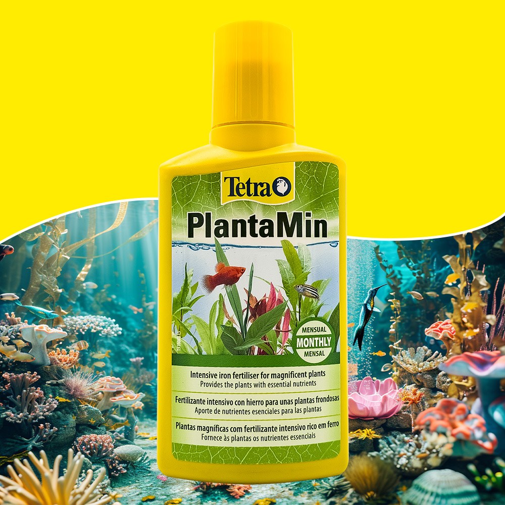 테트라 플랜타민 250ml 수초 액상 액체 비료 액비 수초성장촉진 이끼억제 12,970원