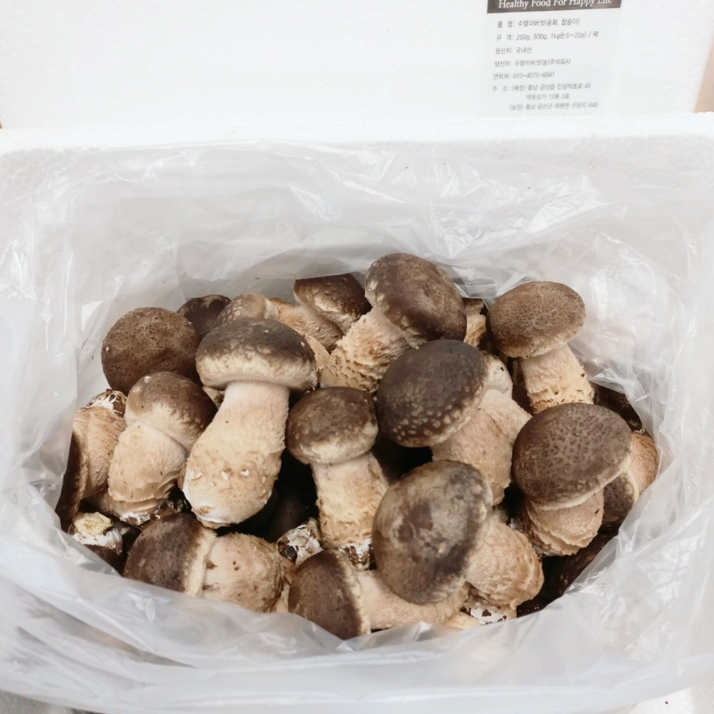 수탱이버섯, 송화버섯, 송고버섯, 솔송화버섯, 송로버섯, 표고버섯, 송이버섯, 선물용버섯, 송화건버섯, 1개, 8-못난이형(1kg) 15,000원