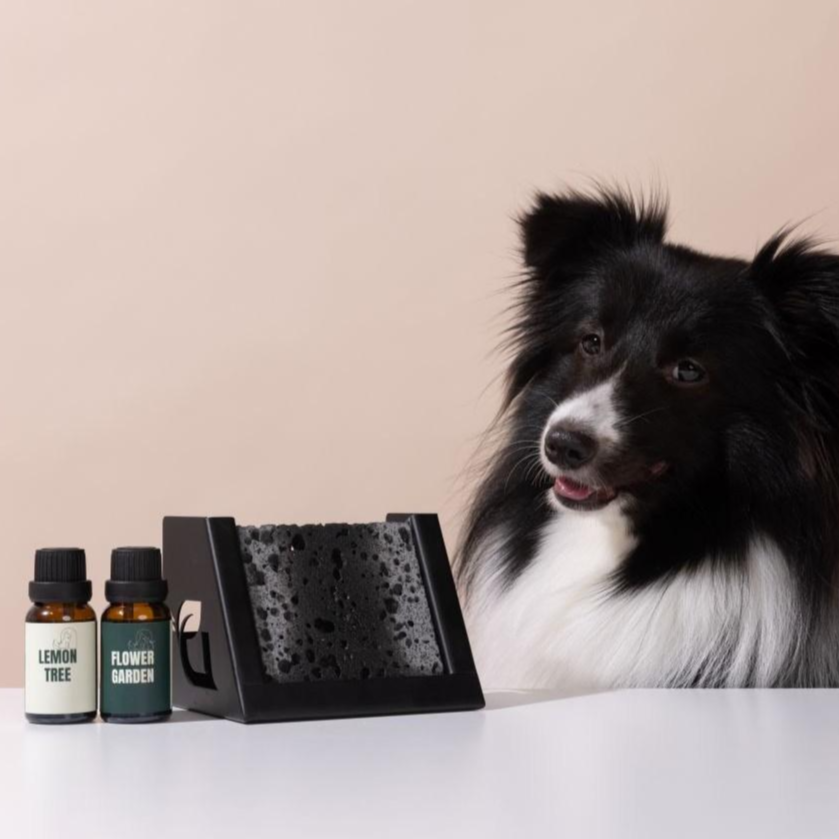 디퓨리 천연 실내 반려동물 스톤디퓨저 강아지 탈취제 고양이 화장실 냄새 제거 방향제 42,000원