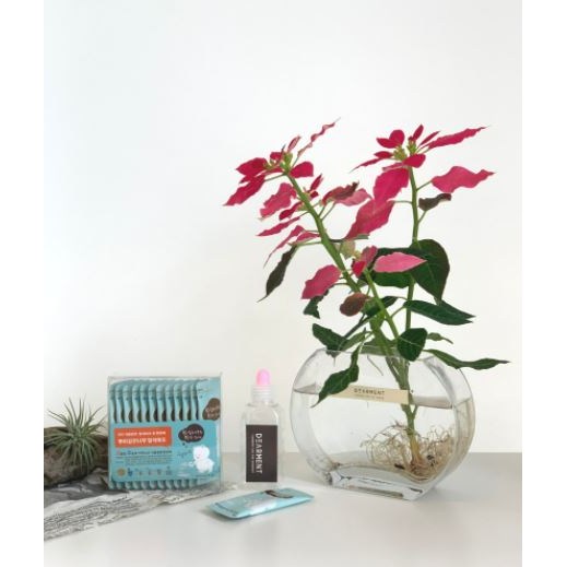 식물 수경재배용 영양제 수경재배 건강성장용 비료 액체영양제 화분영양제 수경식물영양제 (6p+튜브용기) 4,000원