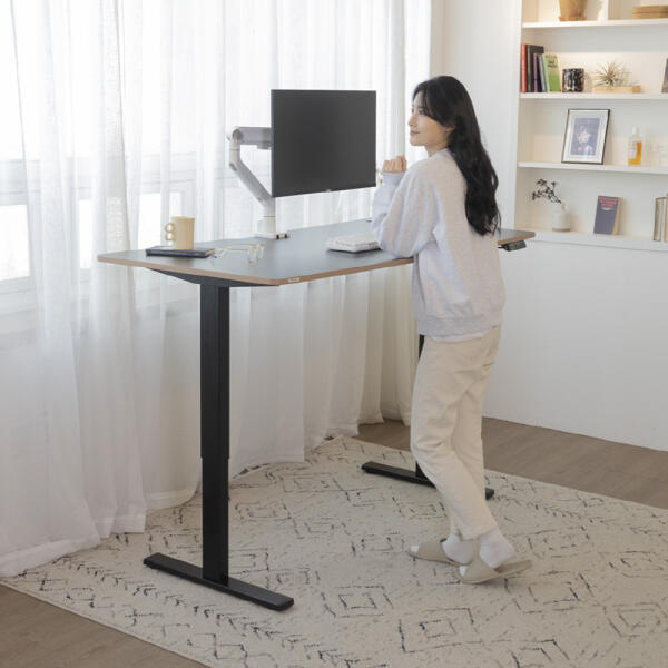 아트박스/카멜마운트 핏쳐 E1 PLUS 전동식 모션 데스크 커스터마이징 1200 276,450원