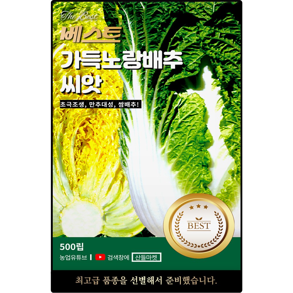 베스트 가득노랑 배추 씨앗 500립 쌈용 생육빠른 초극조생 배추씨 종자, 1개 3,300원