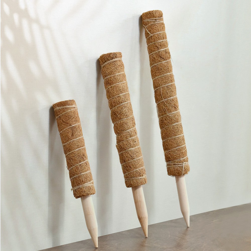 마이플랜트 식물 지지대 지주대3mm_50cm 4,390원