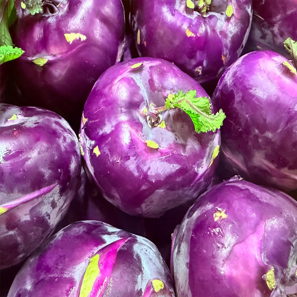 스마일프레쉬 산지직송 당일선별 제주 콜라비 특품, 1박스, 15kg 56,900원