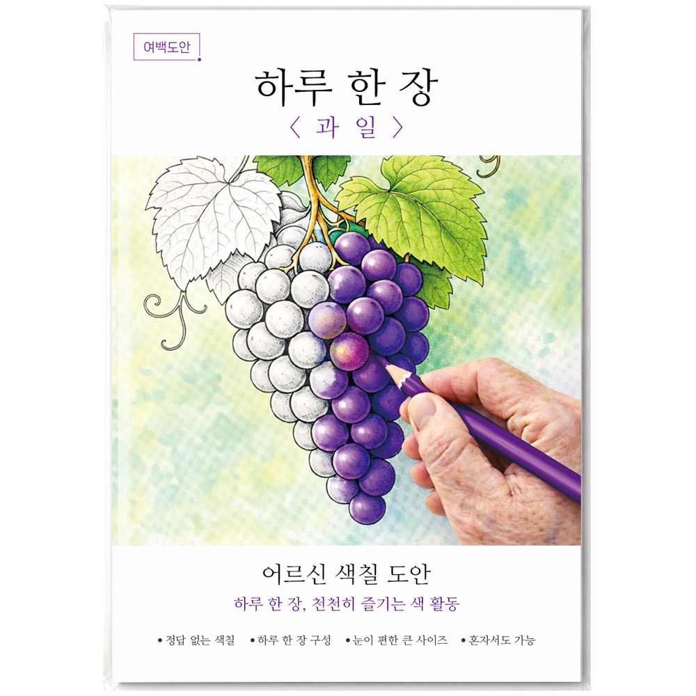여백도안 하루한장 어르신 색칠도안 치매예방 시니어 인지향상 색칠공부, 1개, 과일 10,900원