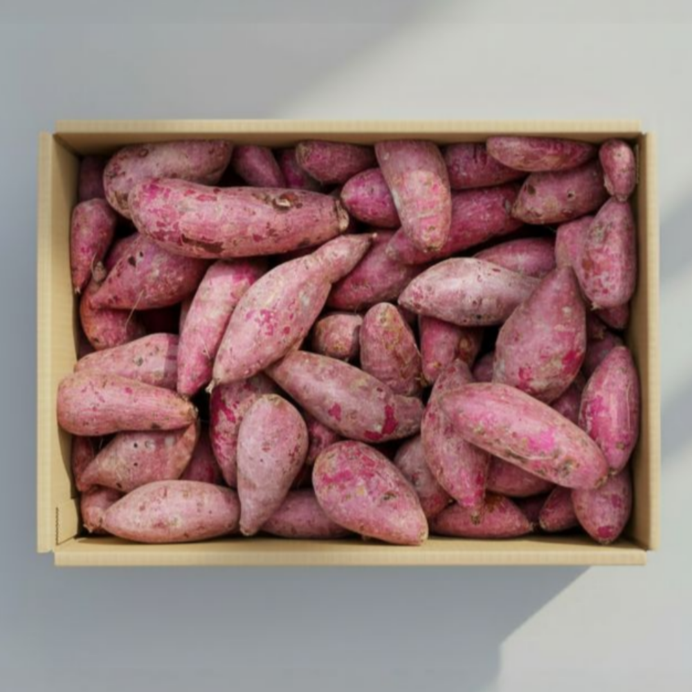 꿀고구마 해남 특품 중상, 1박스, 10kg 38,000원