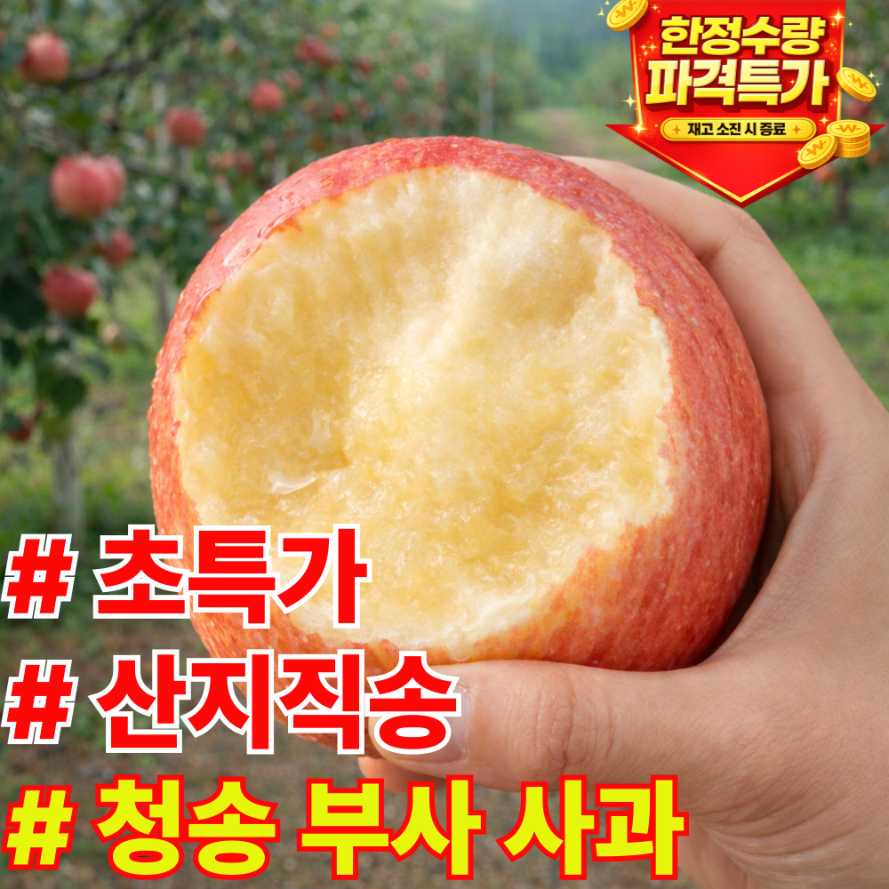 [산지직송] 재구매율1위 초고당도 청송 부사사과, 1박스, 중과 10kg 80,700원