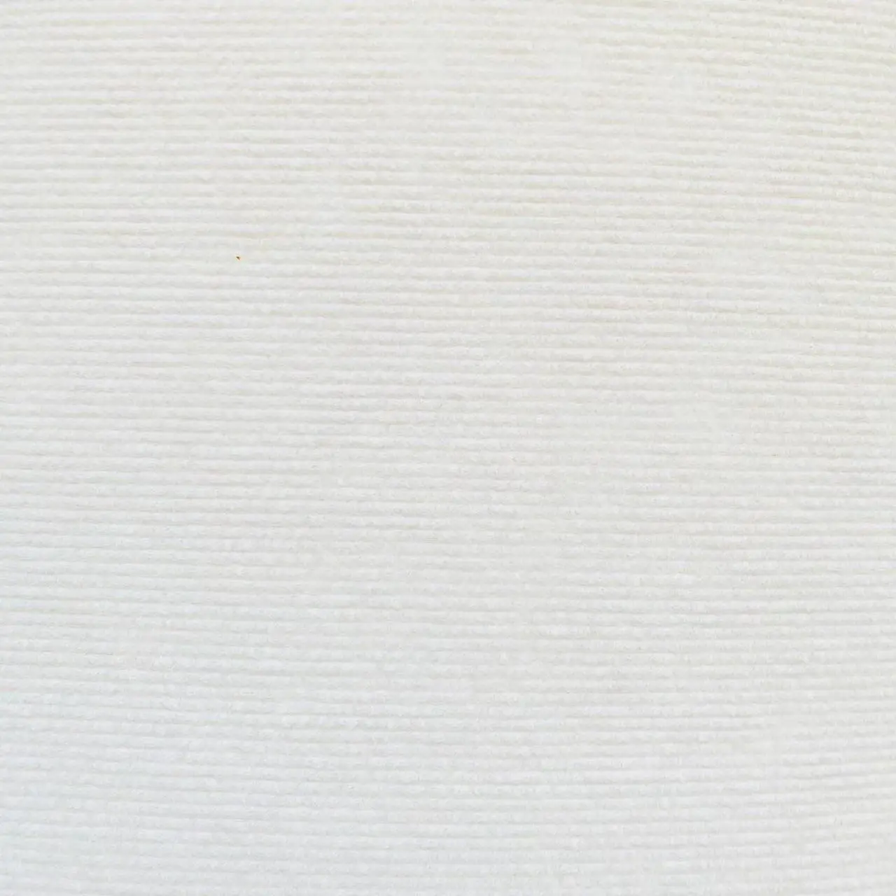 Trimmable 안티 고양이 스크래치 매트 자체 접착 카펫 매트 패드 고양이 애완 동물 Scratcher 가구 소파 코 16,200원