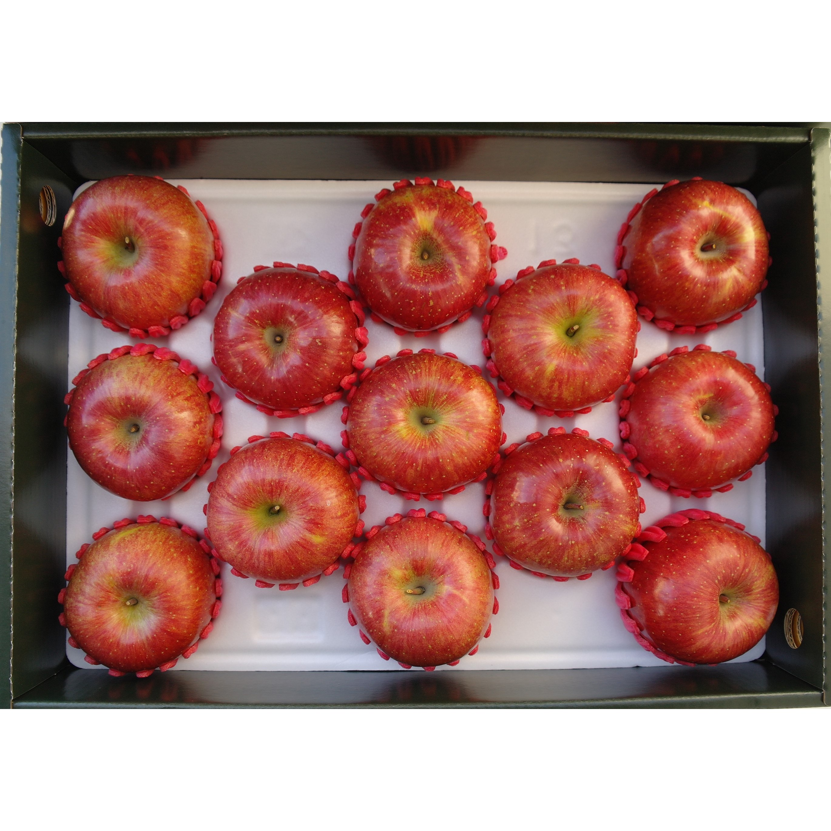 주왕산 털보네 명품 사과선물세트 5kg 부사 55,000원