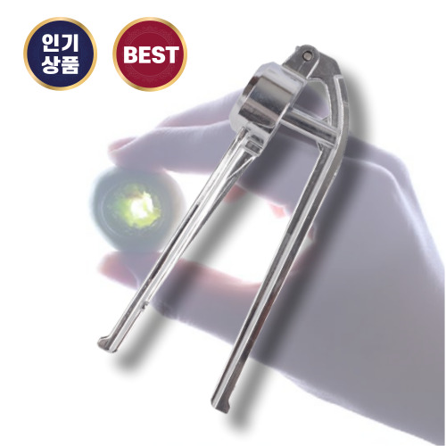 매실 씨 빼는 기계 국내제작 다양한 사이즈 작은 과일 씨빼는 도구, 1개, 단일색상 16,900원