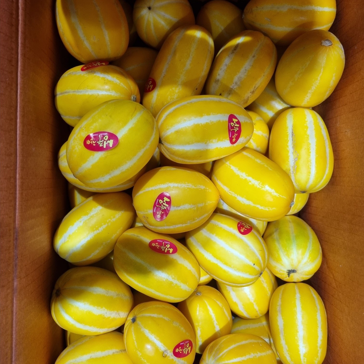 [20브릭스] 고당도 성주 참외 100% 정품 로얄과 산지직송 19,710원