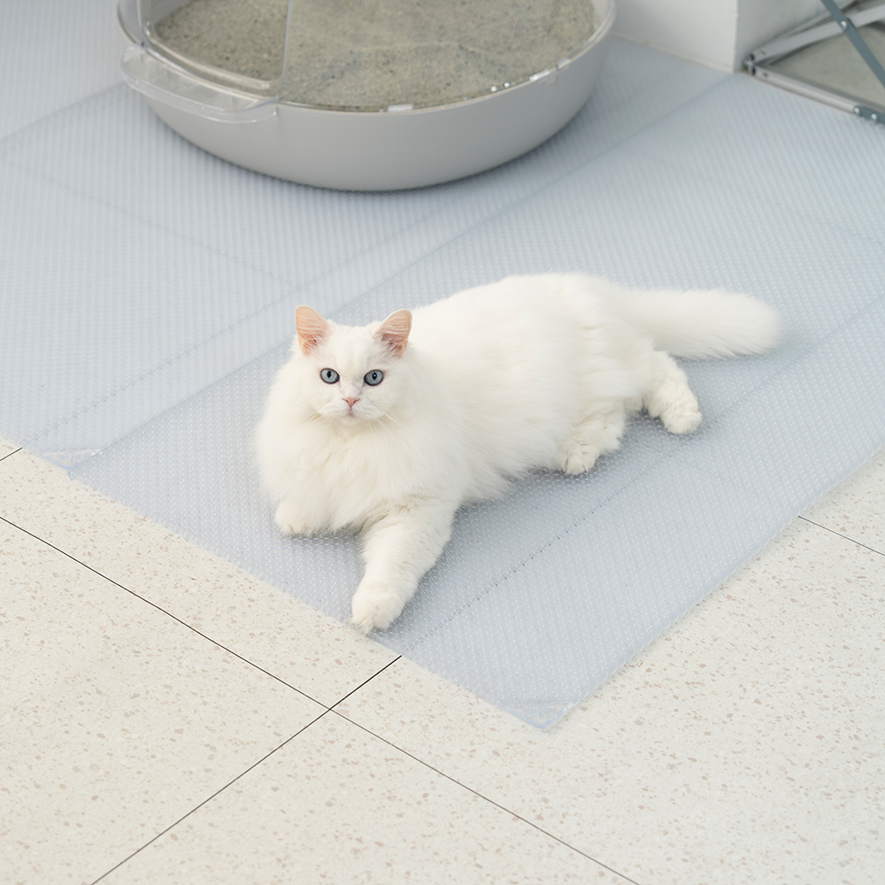 냥쌤 투명 캐치매트 고양이 모래 매트 사막화 방지 발판 패드, 2개, 투명 66,000원