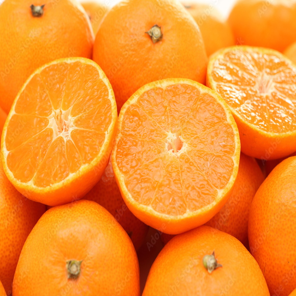 [산지직송] 당도선별 프리미엄 제주 천혜향, 1개, 10kg(혼합과) 39,500원