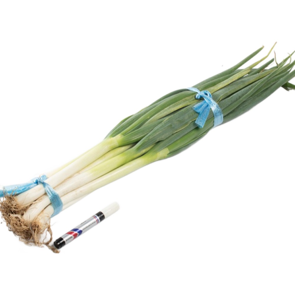 흙 대파 1단 국내산 1kg내외, 1개 3,600원