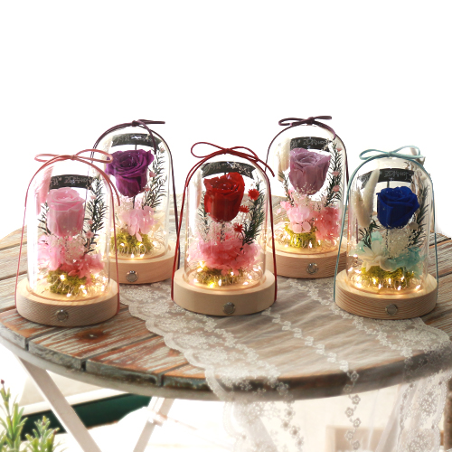 다우에프앤지 프리저브드 플라워 유리돔 무드등 + 쇼핑백 + 용돈봉투 35,900원