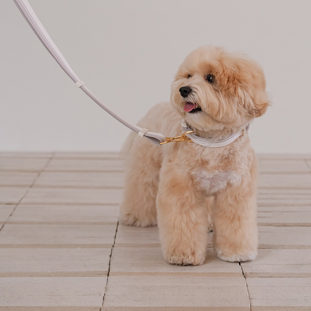 리카리카 반려동물 브리즈 워크 핸즈프리 리드줄 37,000원