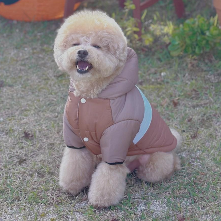 MAAH 강아지 멍끌레오 후드 패딩 하네스 올인원, 브라운, 1개 12,500원