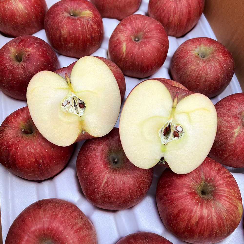 재구매율1위 청송 꿀 부사사과, 1박스, 5kg 중과(20과내외) 53,920원