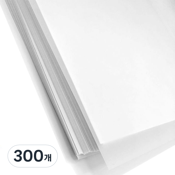 생활의지혜 공시생준비물 배껴쓰는 트레싱지 14,850원