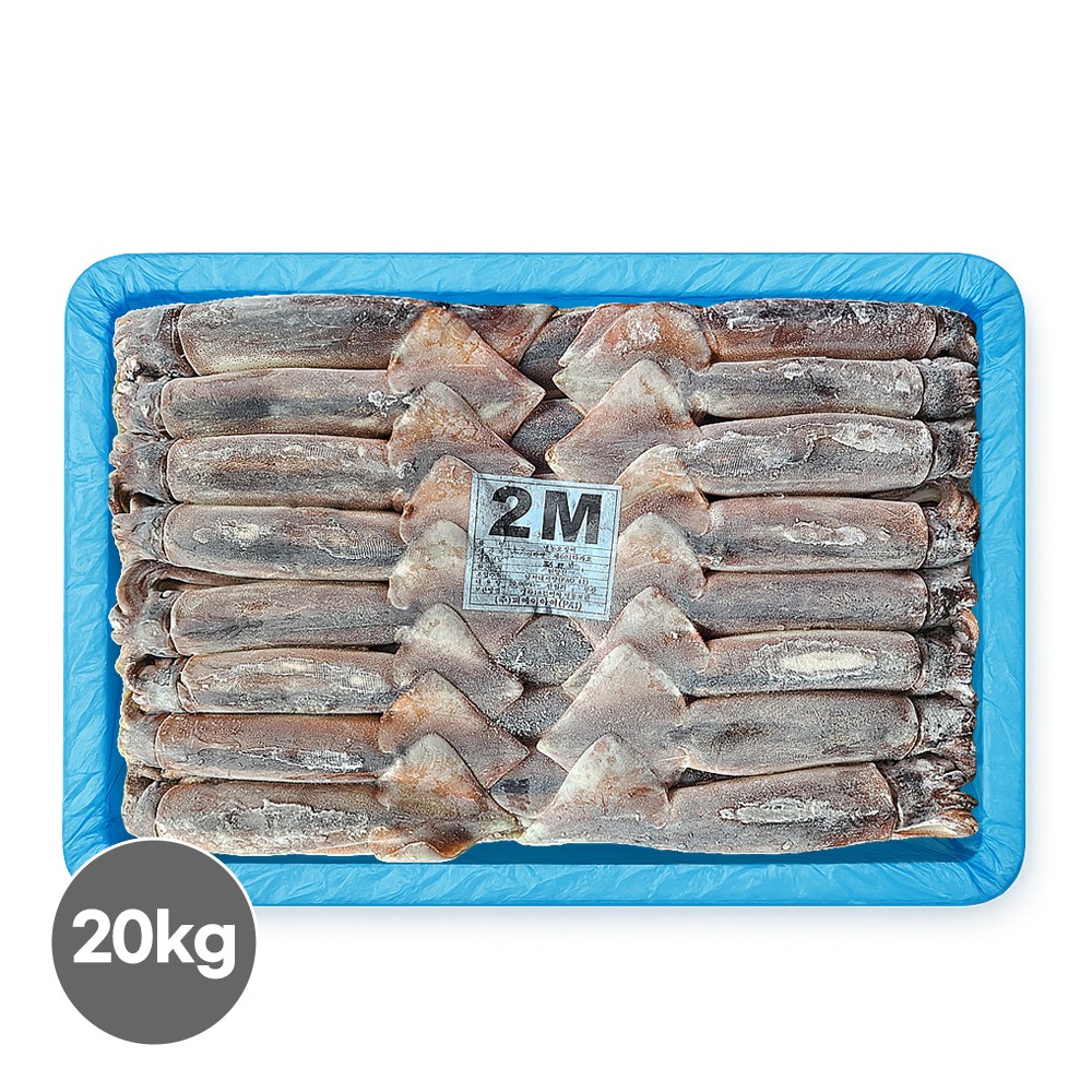 포크오징어 선동 원양산 오징어 20kg 채낚기 수입산 냉동 218,000원