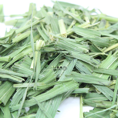 제이펫 국산 연맥 오트헤이 200g ,spet 사은품 수두룩~~ 6,000원