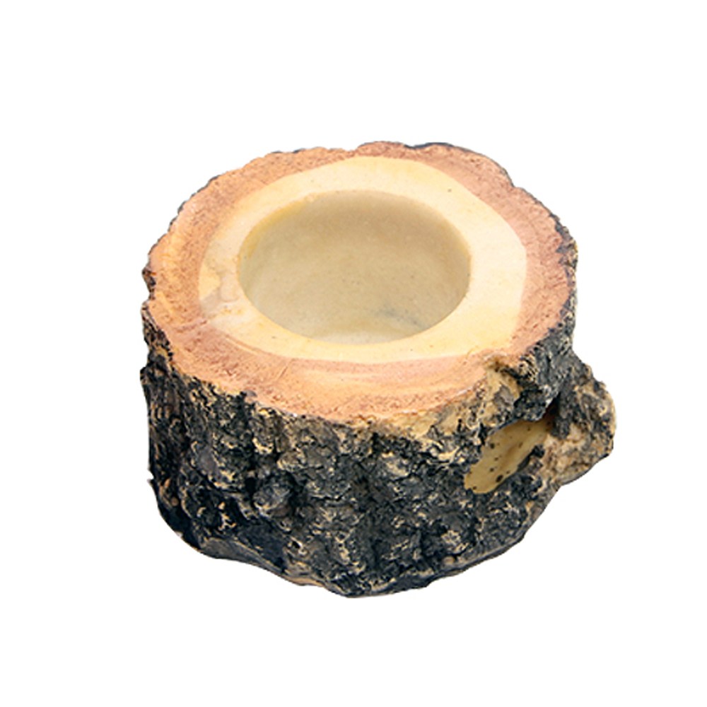 Amazon 아마존 곤충젤리용 먹이접시 1구 1,970원