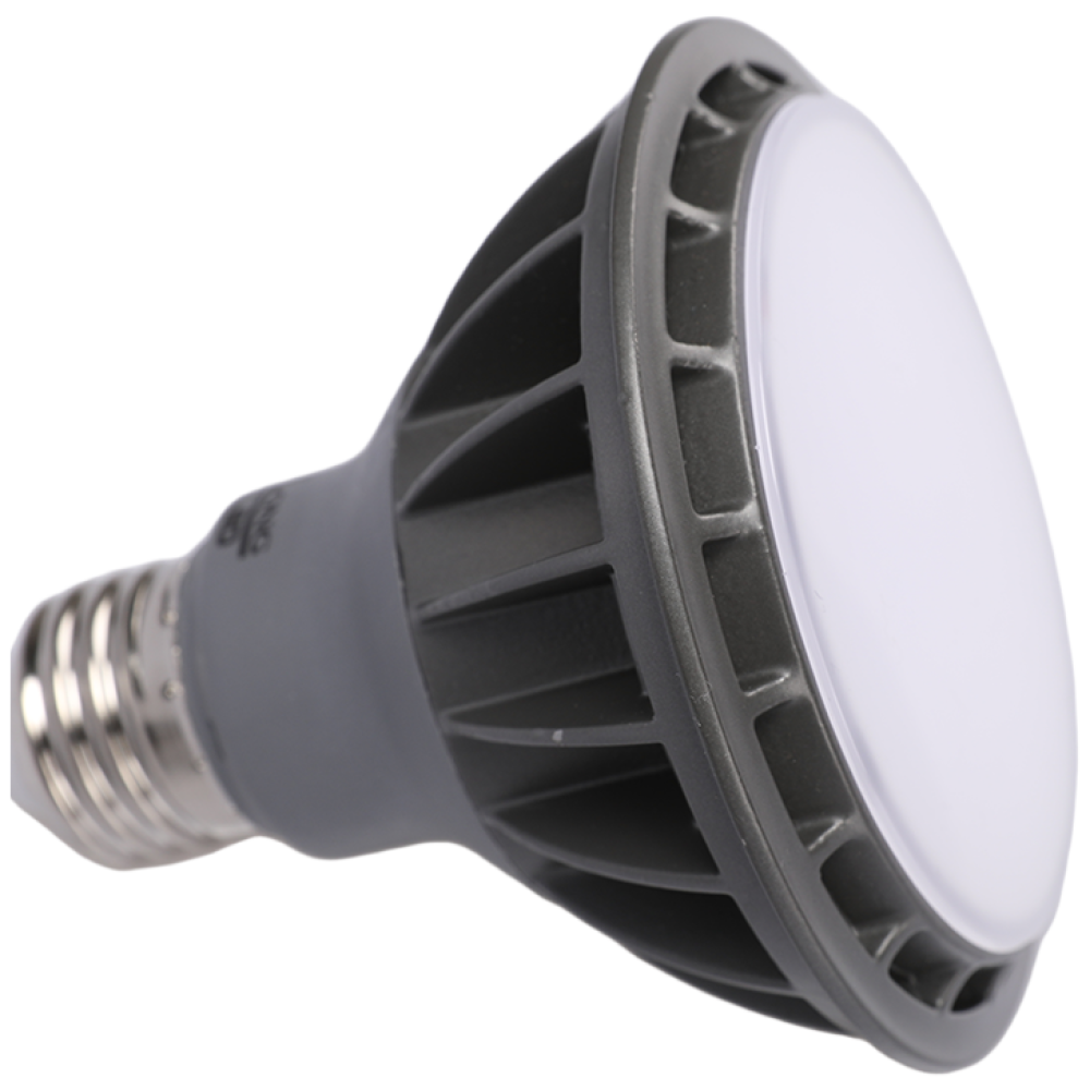 LONG 파30 LED 15W 확산형 (아이보리색빛,4000K), 주백색, 4개 29,880원