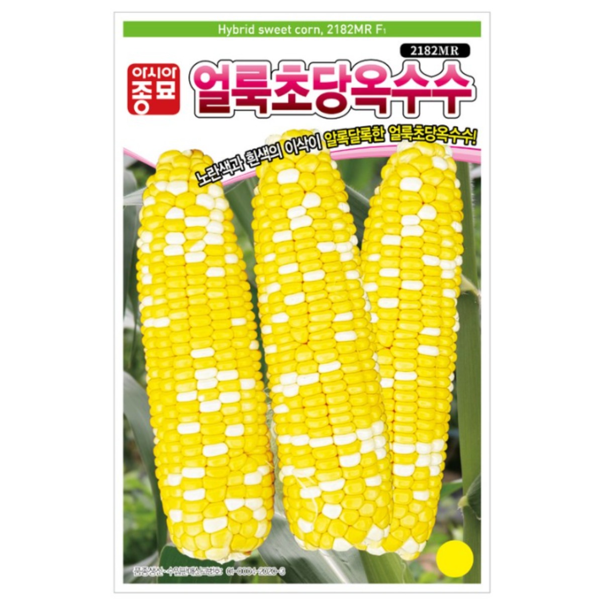 아시아종묘 씨앗 옥수수 얼룩초당옥수수 2182MP 2000립, 1개 70,000원