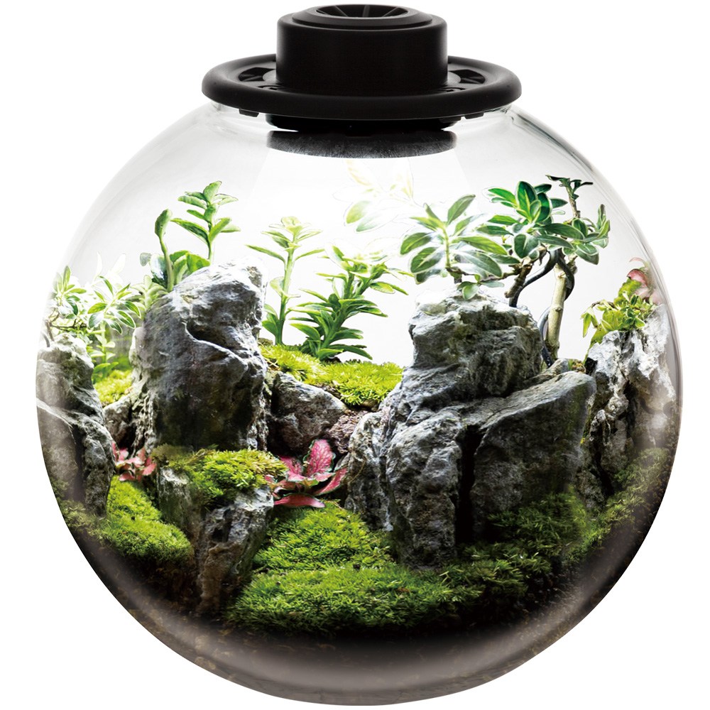 그린월드 와디언 케이스 원형 (YQ220)테라리움 사육장 비바리움 식물 케이지, 1개 78,730원