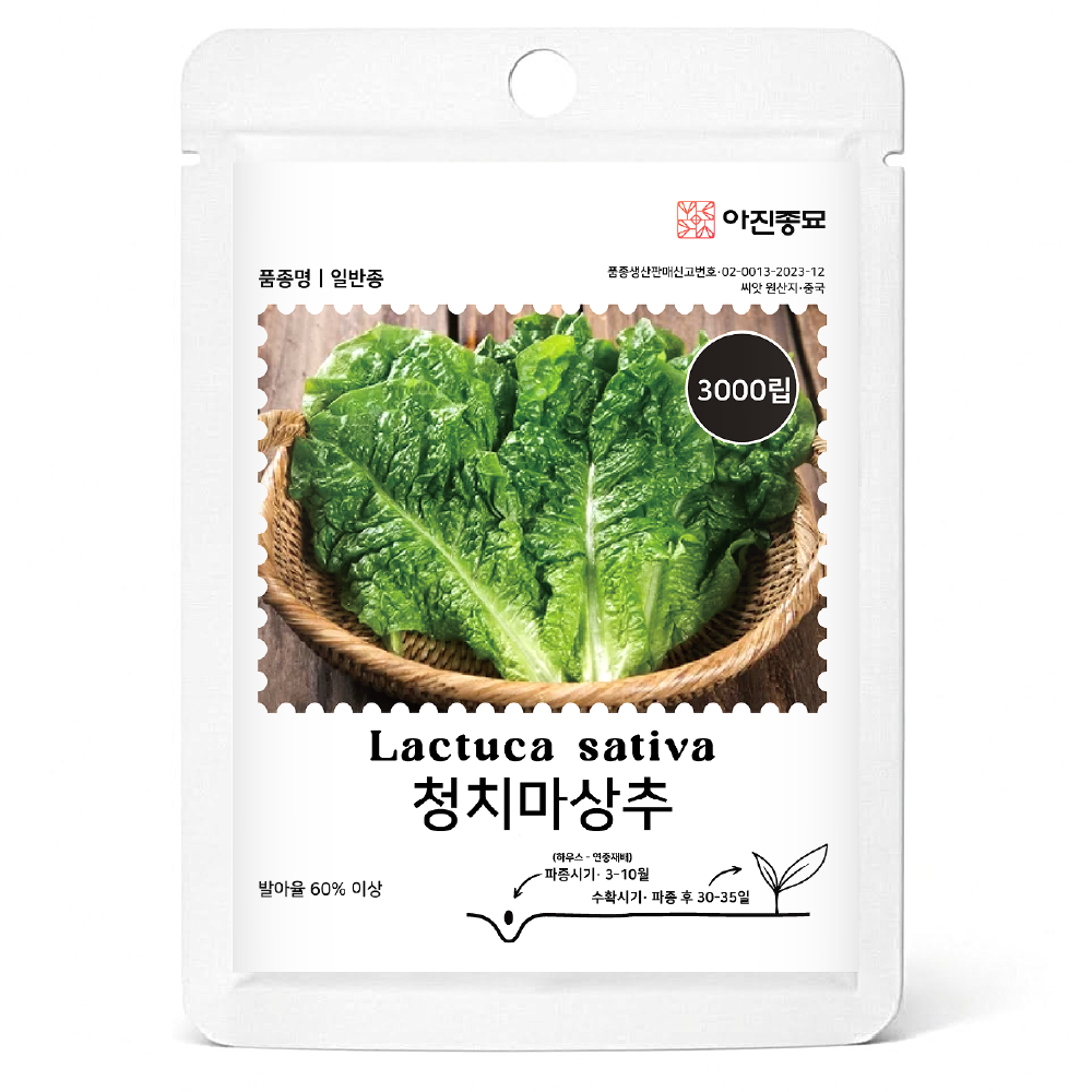 [주주씨앗] 청치마상추씨앗 3000립 청상추 쌈채소 종자 상추씨, 1개 1,000원