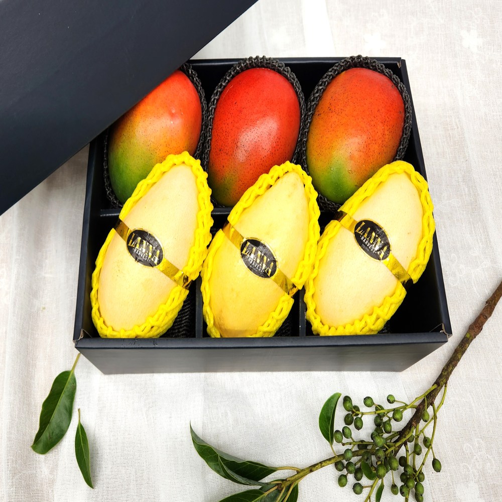 프리미엄 애플망고 골드망고 6구 과일혼합선물세트, 1개 63,200원