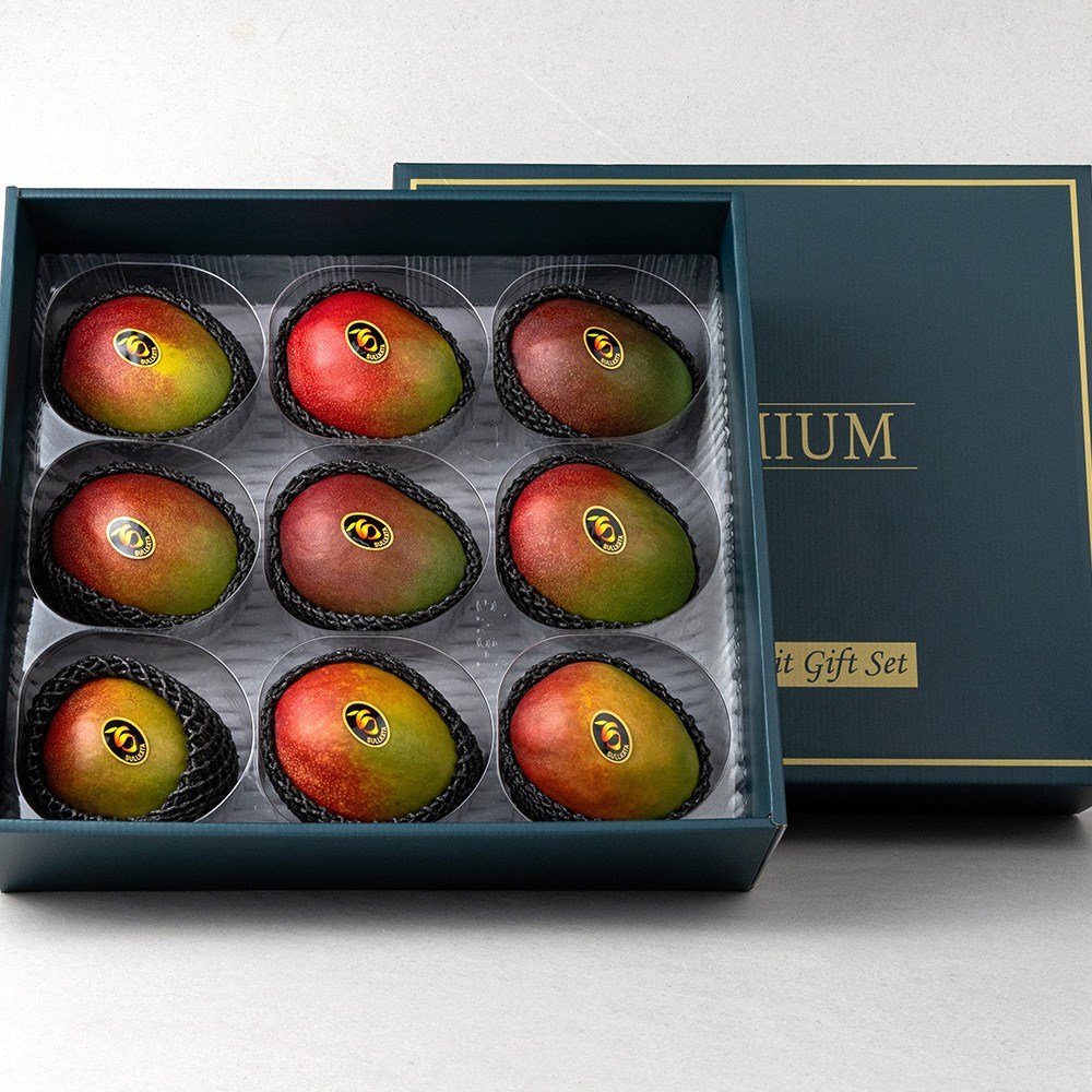 [선물세트] 태국 골드망고 애플망고, 1박스, 애플망고 5과 점보 + 태국망고 4과 특대과 92,800원