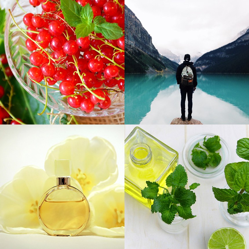 베스트 프레그런스오일 향오일 블랙체리 외 50종 11,800원