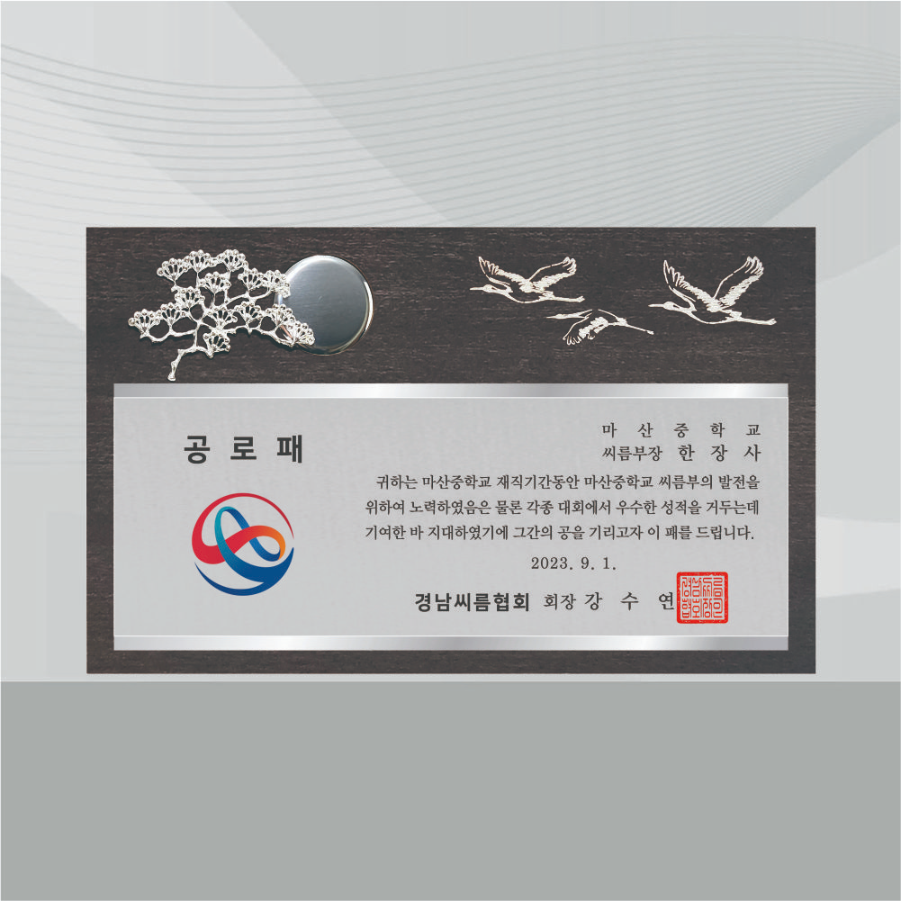 감사패 상패 기념패 공로패 송공패 추대패 임직패 재직기념패 학위취득 표창패 [0035632] 120,000원