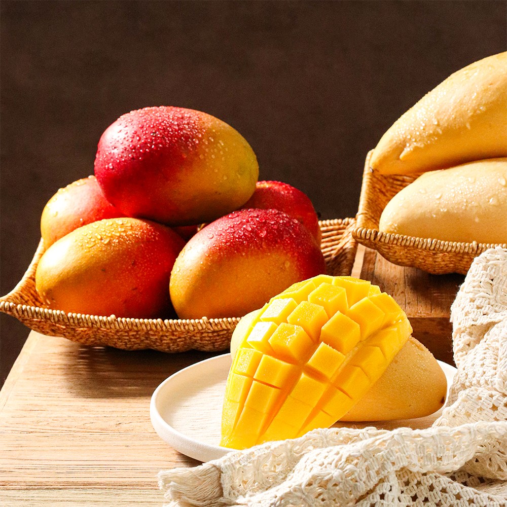 20brix 초고당도 망고 백화점납품 과일선물세트 51,900원