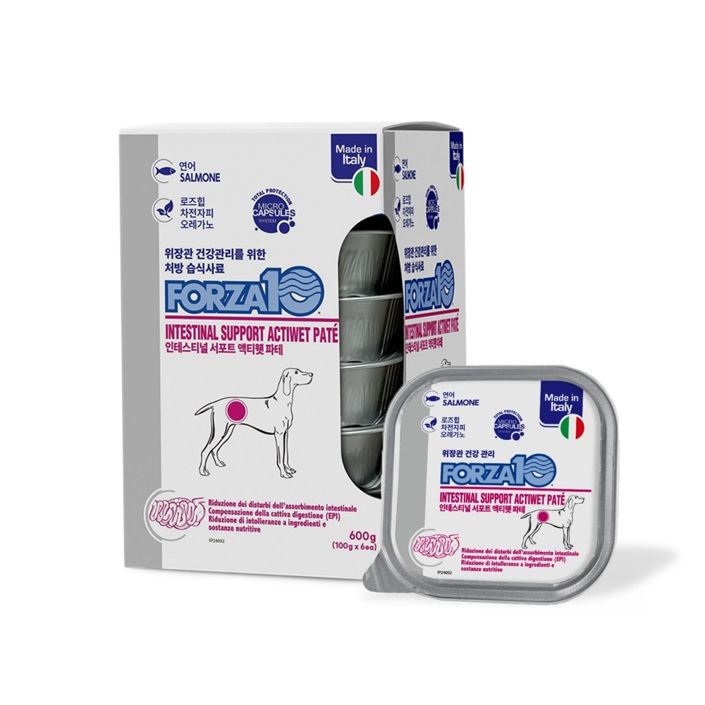 포르자10 독 인테스티널 주식캔 6입 54,000원