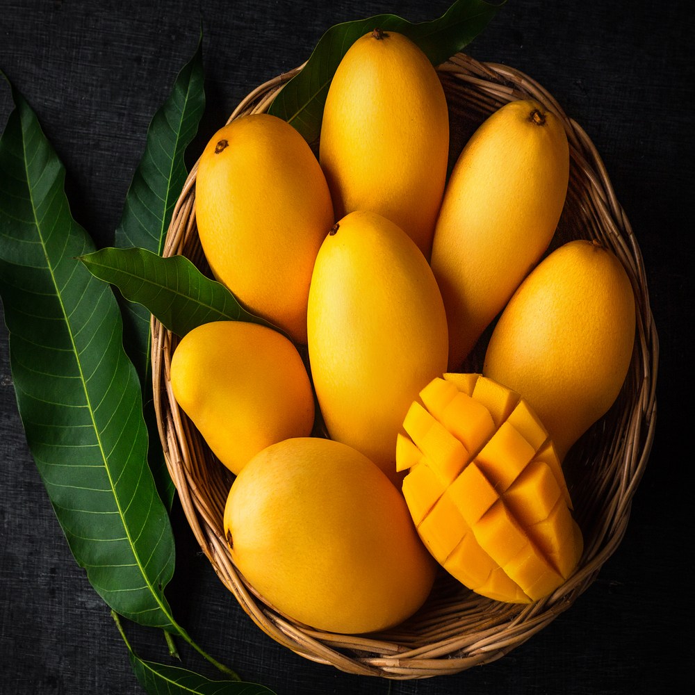 금메달농수산 정품 베트남 골드망고 대과 37,600원