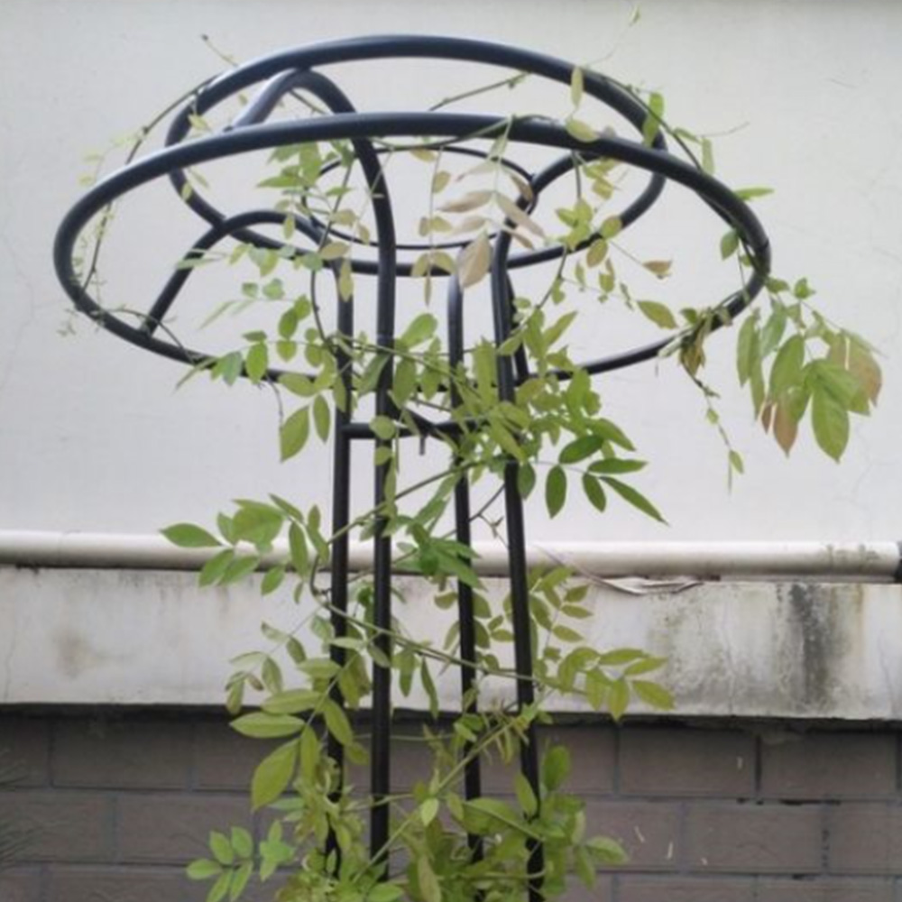 21세기트랜드 버섯 플랜트 지지대 59,800원