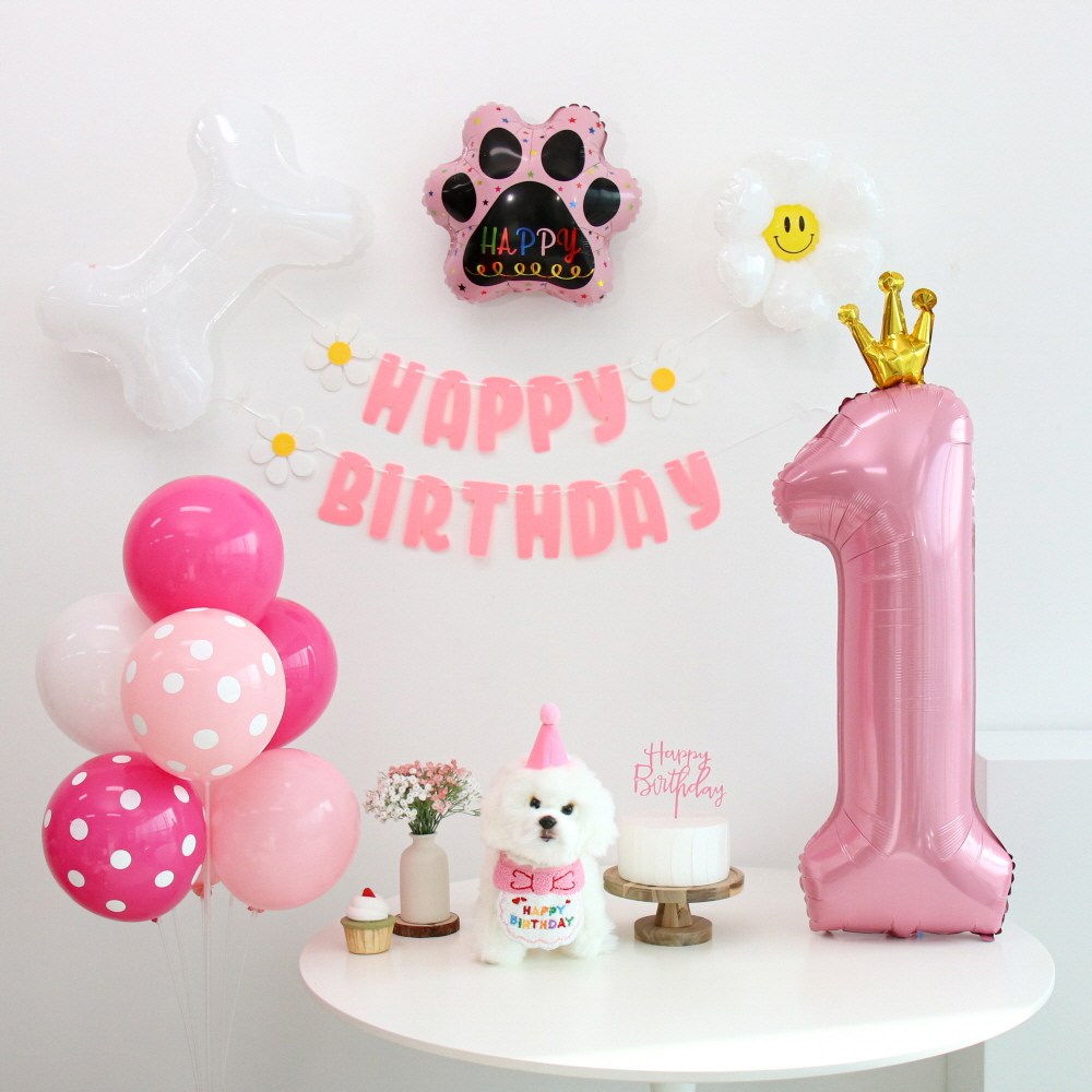 이벤트홀릭 강아지 고양이 생일파티용품세트 턱받이 고깔 숫자 15,800원