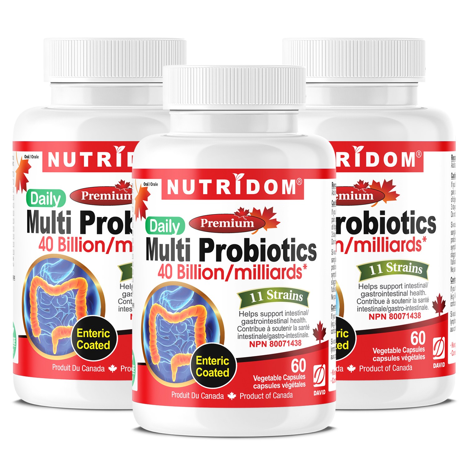 뉴트리돔 멀티 프로바이오틱스 400억 유산균 Multi Probiotics 식물성캡슐 캐나다 직구, 3개, 60정 74,420원