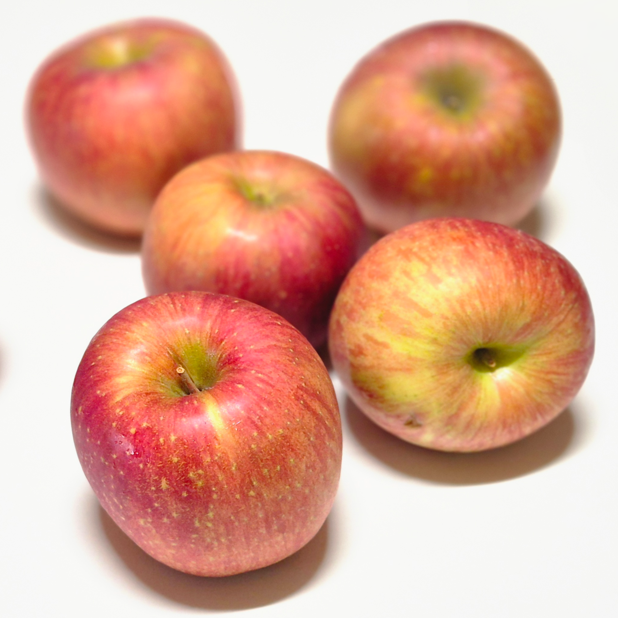 자연달다 맛있는 겨울 햇 사과 고당도 경북 꿀 부사 39,000원